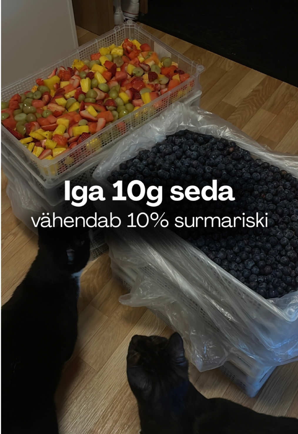 Kas sa tarbid piisavalt seda? Kui sa sööd palju valku aga väldid seda siis sa pole nii tervislik kui sa arvad. Iga 10g kiudaineid vähendab sinu surmariski 10% võrra ehk ära väldi neid.  Ei ütle jällegi seda, et söö 100g kiudaineid päevas, et olla surematu. Nii see päris ei toimi. ✅ Soovitus  meestele: 30-40g päevas naistele: 20-30g päevas  Annan videos ka 3 lihtsat nippi, kuidas rohkem kiudaineid oma dieeti saada. #eesti #eestitiktok #eestivideod #trenn #toitumine 