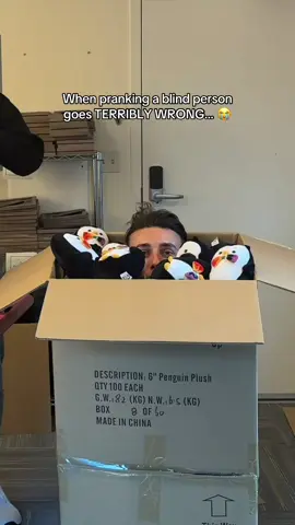 Don’t worry, the penguins broke the fall 🐧 #prank 