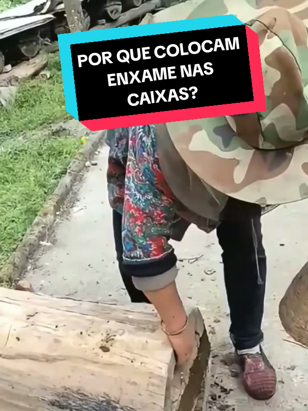 Por que colocam enxame nas caixas? #curiosidades #curioso #trabalho #tecnologia #vaiprofycaramba 
