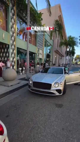 Explore Montréal Now🚗#quebec #mtl #fallvibes #nightlife #dinadonia12 