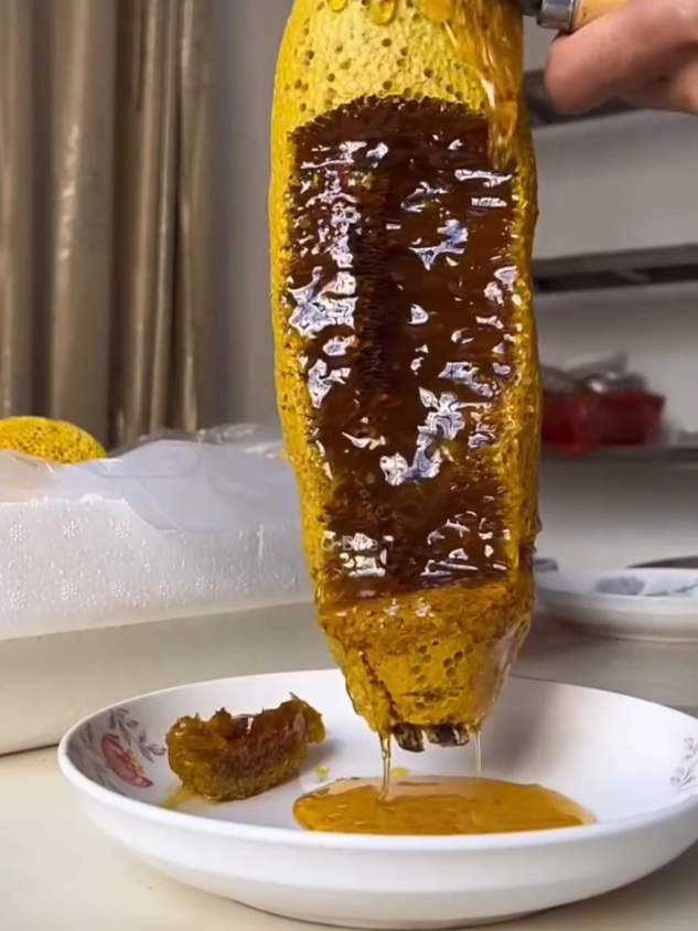 🐝 Honey Vlog “Straight from the wild 🍯— harvesting real forest honey you’ve never seen before!” #HoneyHarvest #BeeTok #NatureASMR #SatisfyingVideo #WildHoney