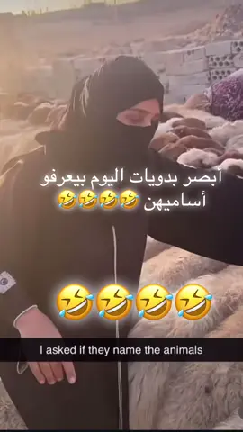 #creatorsearchinsights2025 