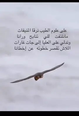 مانقبل  الهزله ولانقبل الدون ‏نرقا سنود ونرفع الراس عالي#شعر_وقصائد #ابداع #fypシ゚viral #اكسبلور_تيك_توك 