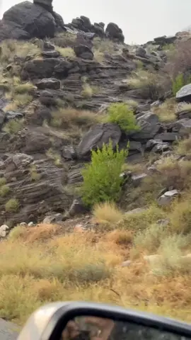 لا خاب ظني بالرفيق الموالي.     مالي مشاريه على نايد الناس👌👌👌.         #تصويري📷 #اكسبلور #اجواء_الشتاء #الجنوب #في 