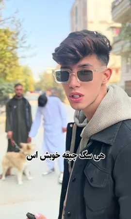 میشه همرای سگ تان یک عکس بیگیرم 🤣 . . . . #foryou #fyp #fouryoupage #تاجیک_هزاره_ازبک_پشتون_ترکمن🇦🇫 #afghanistan 