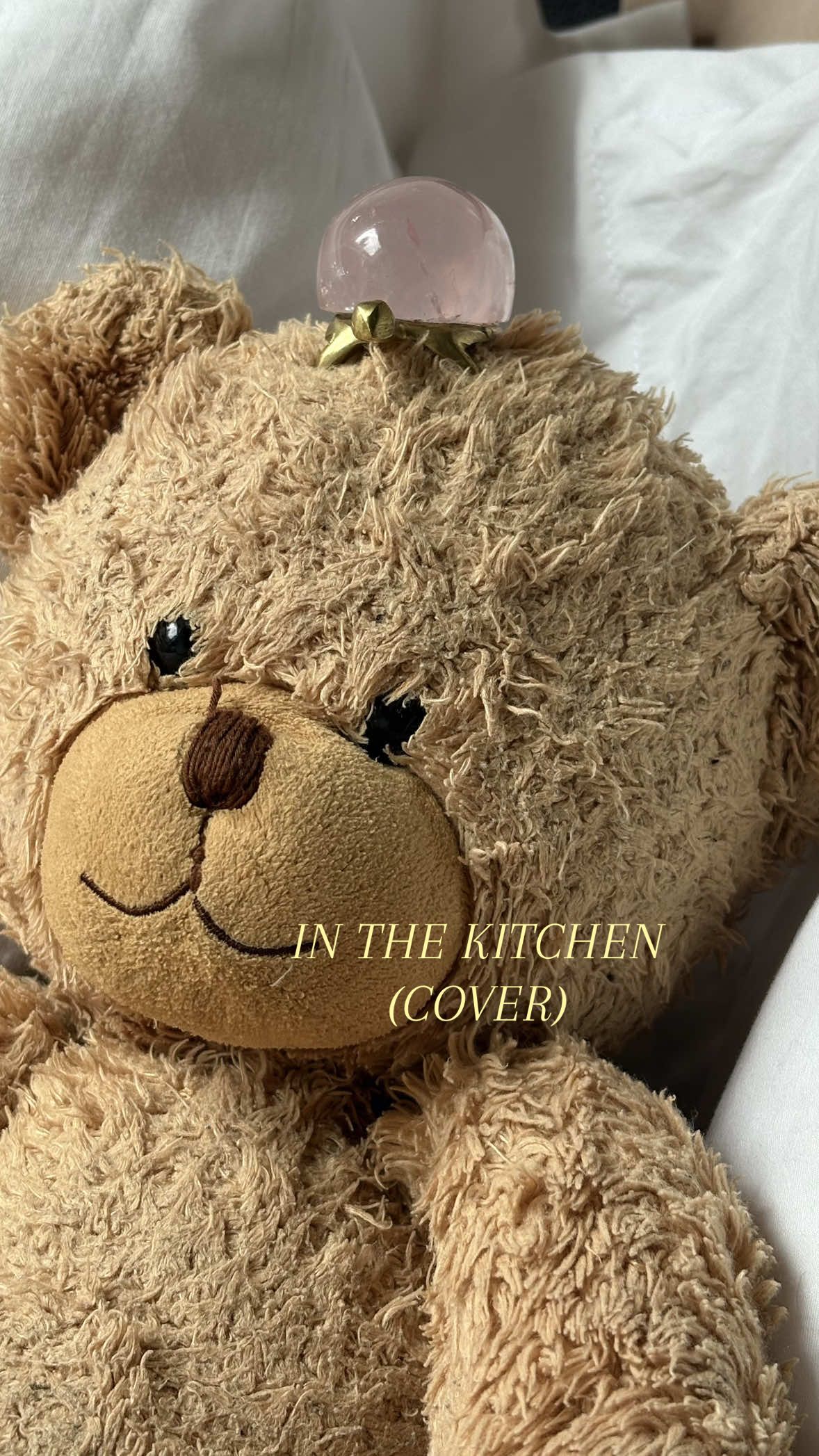 Je n’avais jamais pensé à chanter dans le salon mais c’est c’est très pour la voix 😭🤣 #cover #reneerapp #inthekitchen #chant #fyp 