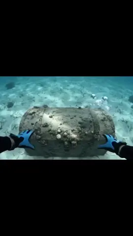 si, pa ti 🖕🏽 #xybca #fyp #a #foca  #paratiiiiiiiiiiiiiiiiiiiiiiiiiiiiiii