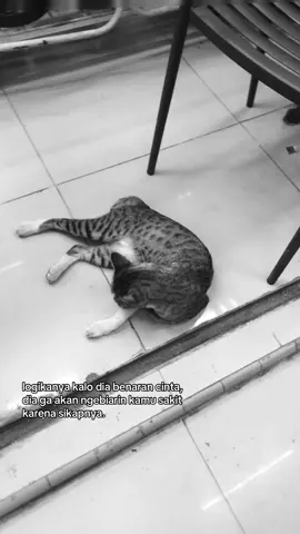 logikaa #foryoupage #fotolive #katakata #galaustory #xybca 