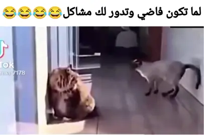 #هههههههههههههههههههههههههههههههههههههه #