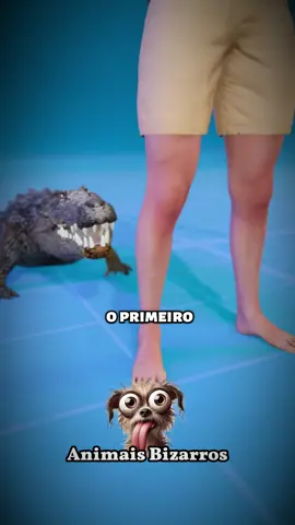 As mordidas mais fortes do reino animal #animais #natureza#curiosidades