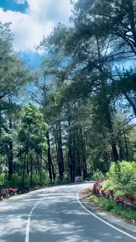 secantik itu😍#malino#healing #fypage #hutanpinus #berandatiktok 