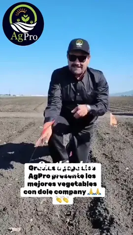 #History #TikTokLearningCampaign #viral #paratiiiiiiiiiiiiiiiiiiiiiiiiiiiiiii #agpro #foryouuuuu #piedadayala #ayalafarmspiedadayala #California #fresnostateuniverdidad #virgendeguadalupe #aguacates #letuce🥬 #