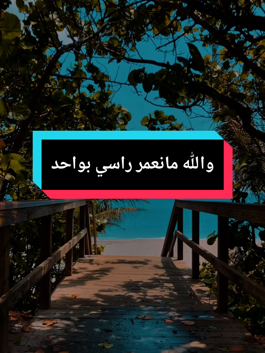 والله مانعمر راسي بواحد #صانع_محتوى  #اكسبلور  #fyp  #pourtoii  #capcut_edit 