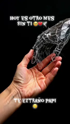 #miangeldelcielo🥺🕊 