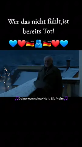 #dobermanncloe #album #deutscherwintertraum #abdezember2025 