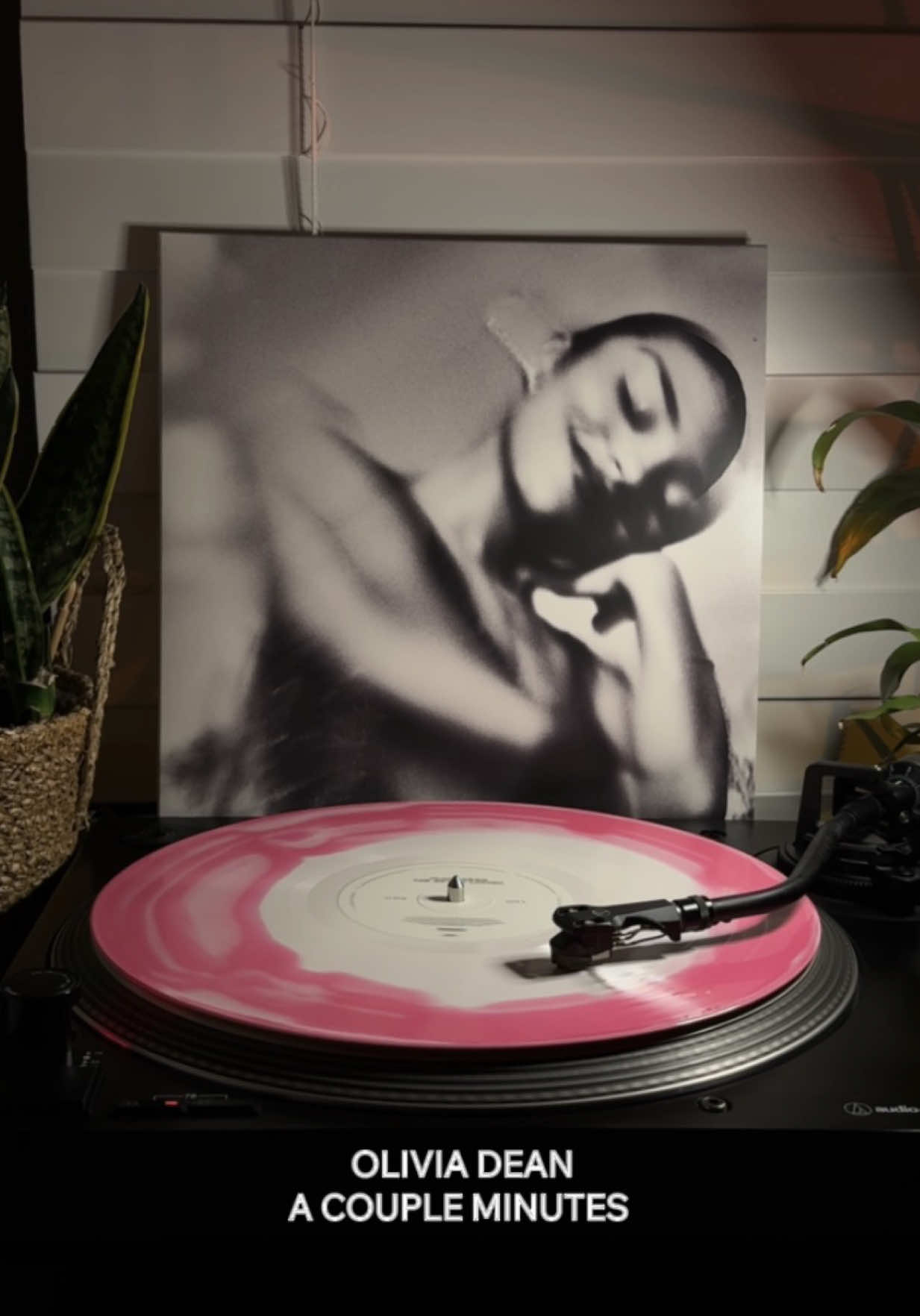 the art of loving (2025) blood records exclusive pink & white swirl pressing (2025) 💿 yeah this album has been spun pretty much everyday since it came out… absolutely obsessed with it and so happy to see olivia getting her flowers big time !!! also this pressing is absolutely stunning 🤩 @Blood Records  #oliviadean #oliviadeanvinyl #theartofloving #swirlvinyl #colouredvinyl 