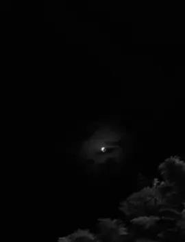 #rappels_islam #islam #fyp 