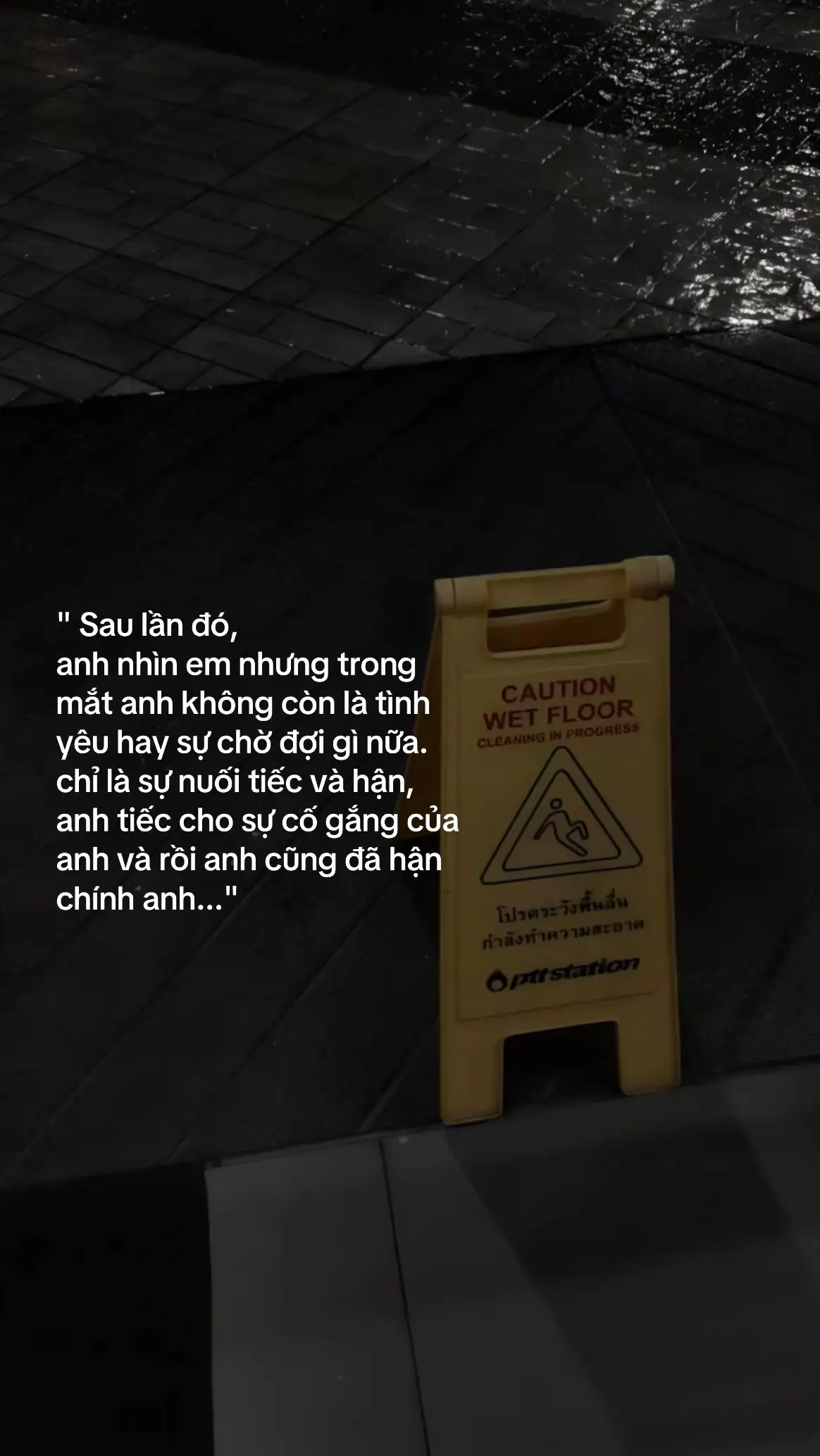 những mảnh vụn trong kí ức giờ đây cũng đã lưu mờ...