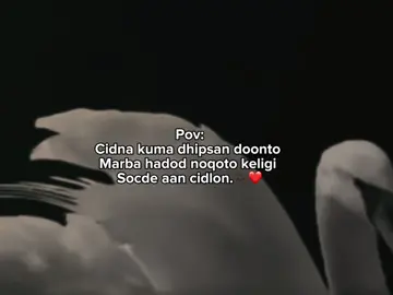 Dhabti 🫶🏿🤍#write_mohan #fouryoupage #viewsproblem #flowme 