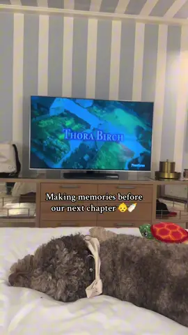 Weekend recap with my favorite boys #pregnancy #thirdtrimester #momtobe #babyontheway #getaway 