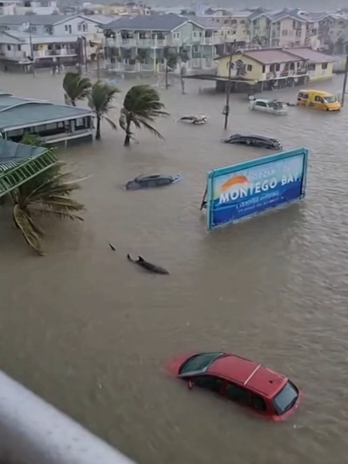 #neuralerrors #jamaica #shark #flood #hurricanemelissa #realityshift #caughtoncamera #wtf #viralshorts #realityglitch #stormfootage #aiart