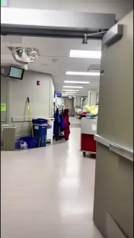 #duhok_zaxo_amedi_semel_akre 