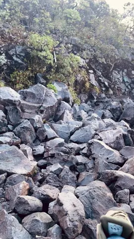 ✨✨ #lawumountain #lawuviacemorosewu #gununglawu3265mdpl 