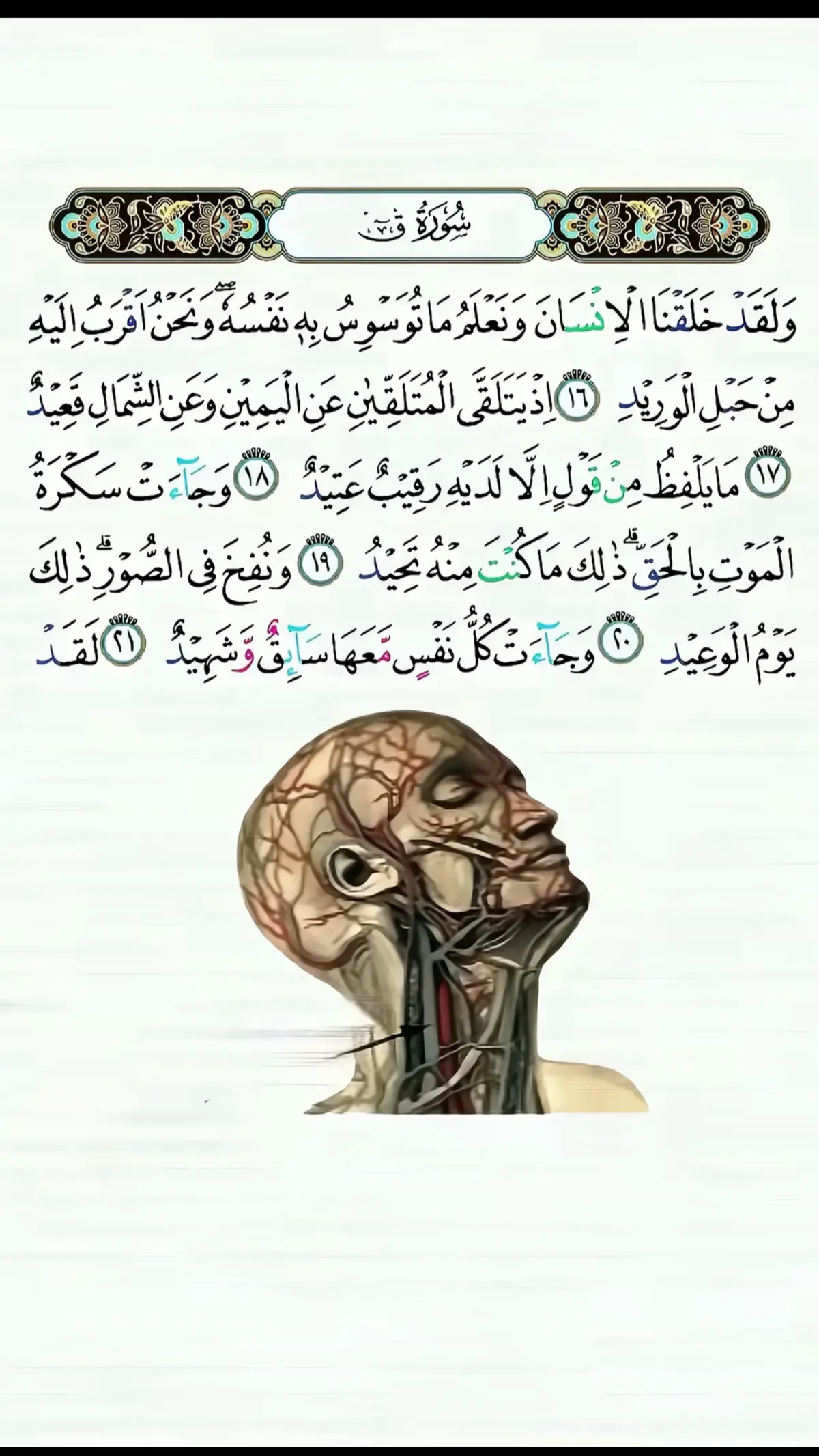 #پشتون_تاجیک_هزاره_ازبک_زنده_باد🇦🇫 #❤️🕋🤲❤️🕋🤲❤️🕋🤲❤️🕋🤲❤️🕋🤲❤️🕋🤲 