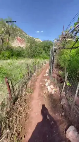 #greenscreen #viralvideo #music #meme #standwithkashmir 🫀