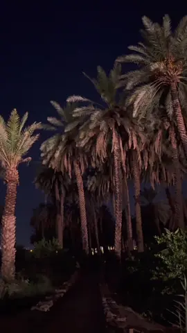 لا تضر الروح منت بعدو لي!🩶 #CapCut #نخل #اكسبلورexplore 