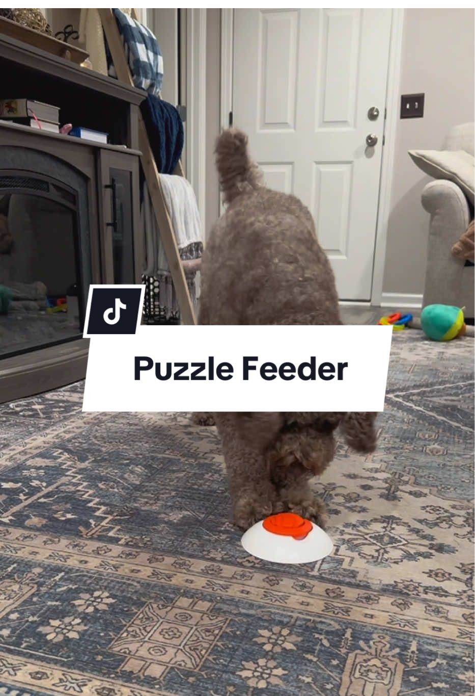 She wants her treats and she wants them now😤 This both got her tired and annoyed #puzzlefeeder #dogactivity #dogenrichmenttoy #dogenrichment #dogtreatdispenser  