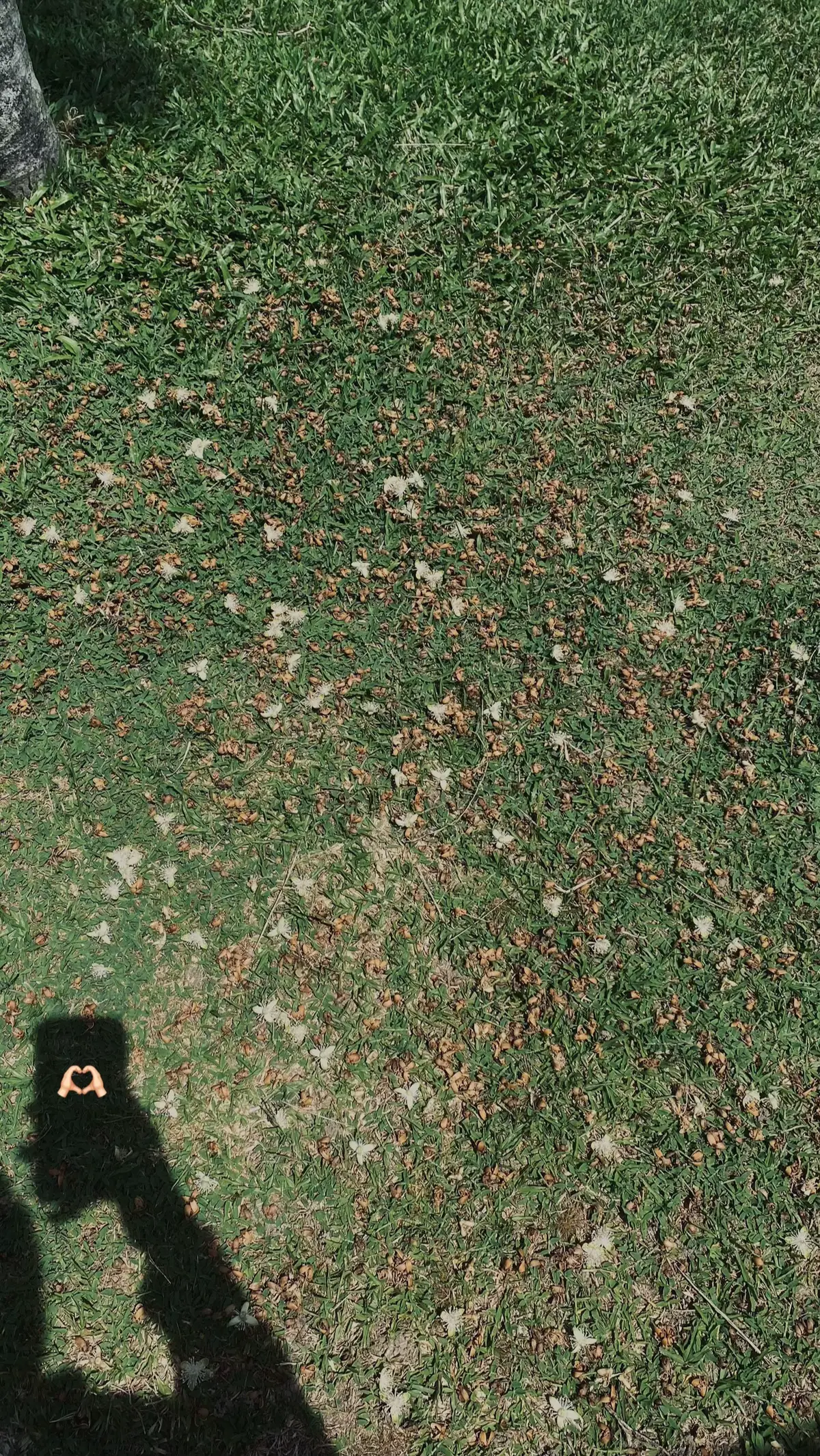 accept but don’t settle 🤙🏻