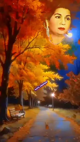 #كوكب_الشرق_ام_كلثوم #الطرب_الاصيل #مصر_السعوديه_العراق_فلسطين #المغرب🇲🇦تونس🇹🇳الجزائر🇩🇿 #لبنان_مصر_الخليج_سوريا 