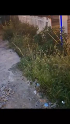 whatever... #oasis #oasislive25 #liam #noelgallagher #liamgallagher #noelgallaghershighflyingbirds #slideaway #music #octupus 