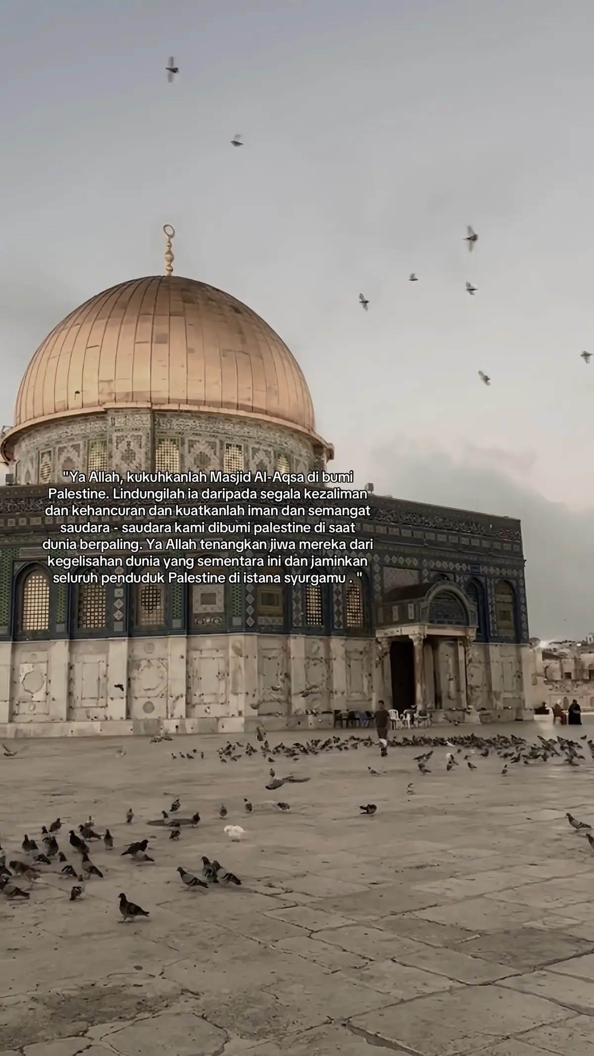 forever with 🇵🇸 #foryou #freepalestine 