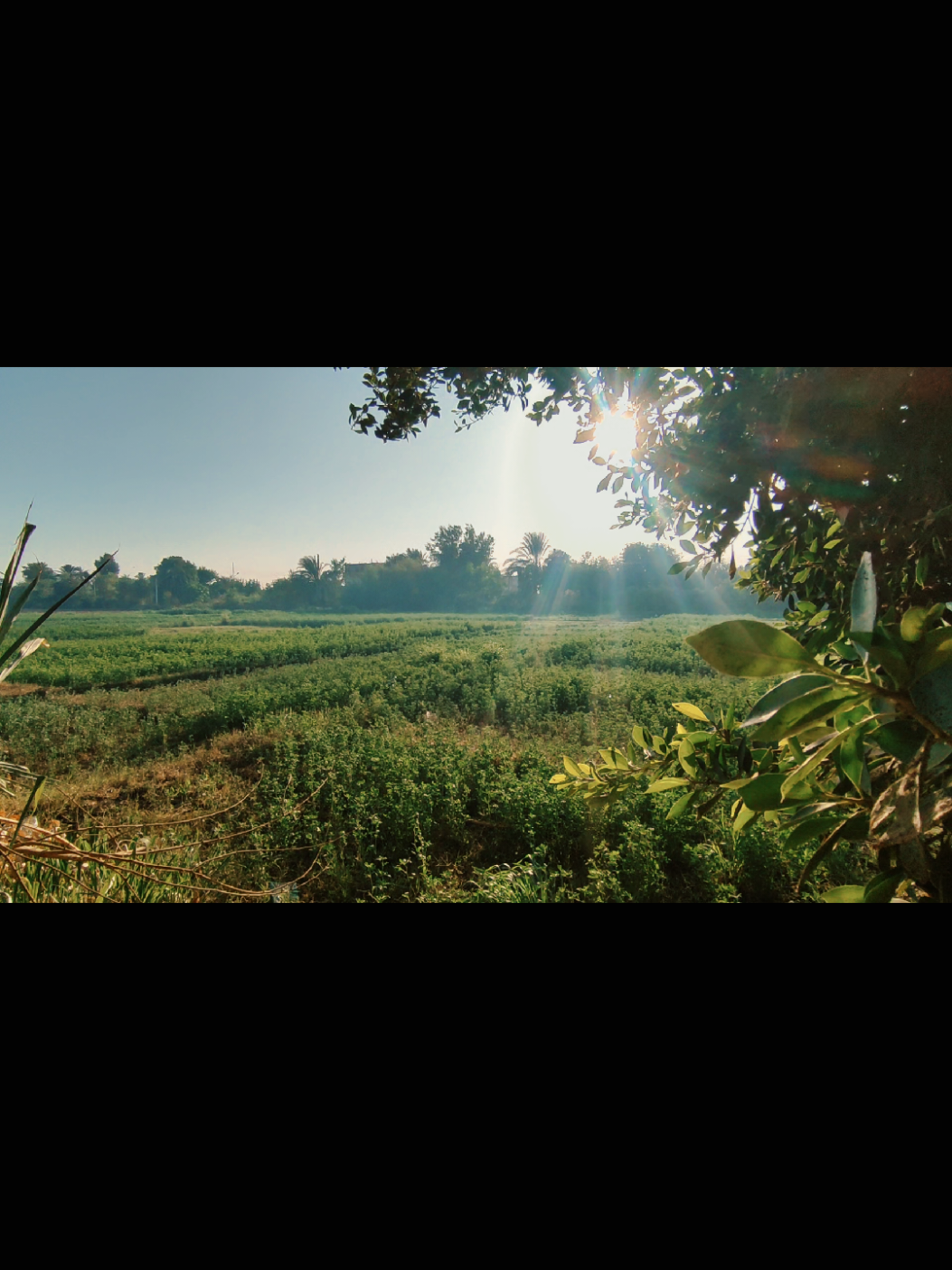 هات ايدك يا ولا وتعالى نجرى .... #غروب #تصوير #fyp #هدوء🥀 #حيره 