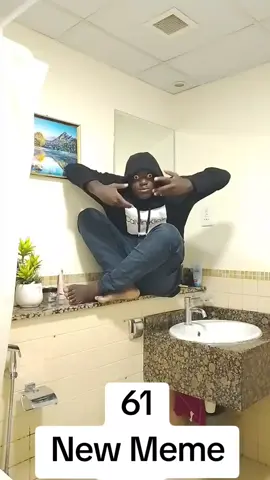 Title: Six Swan On Wall #fyp #61 #67 #67powerstroke #67cumminsdiesel