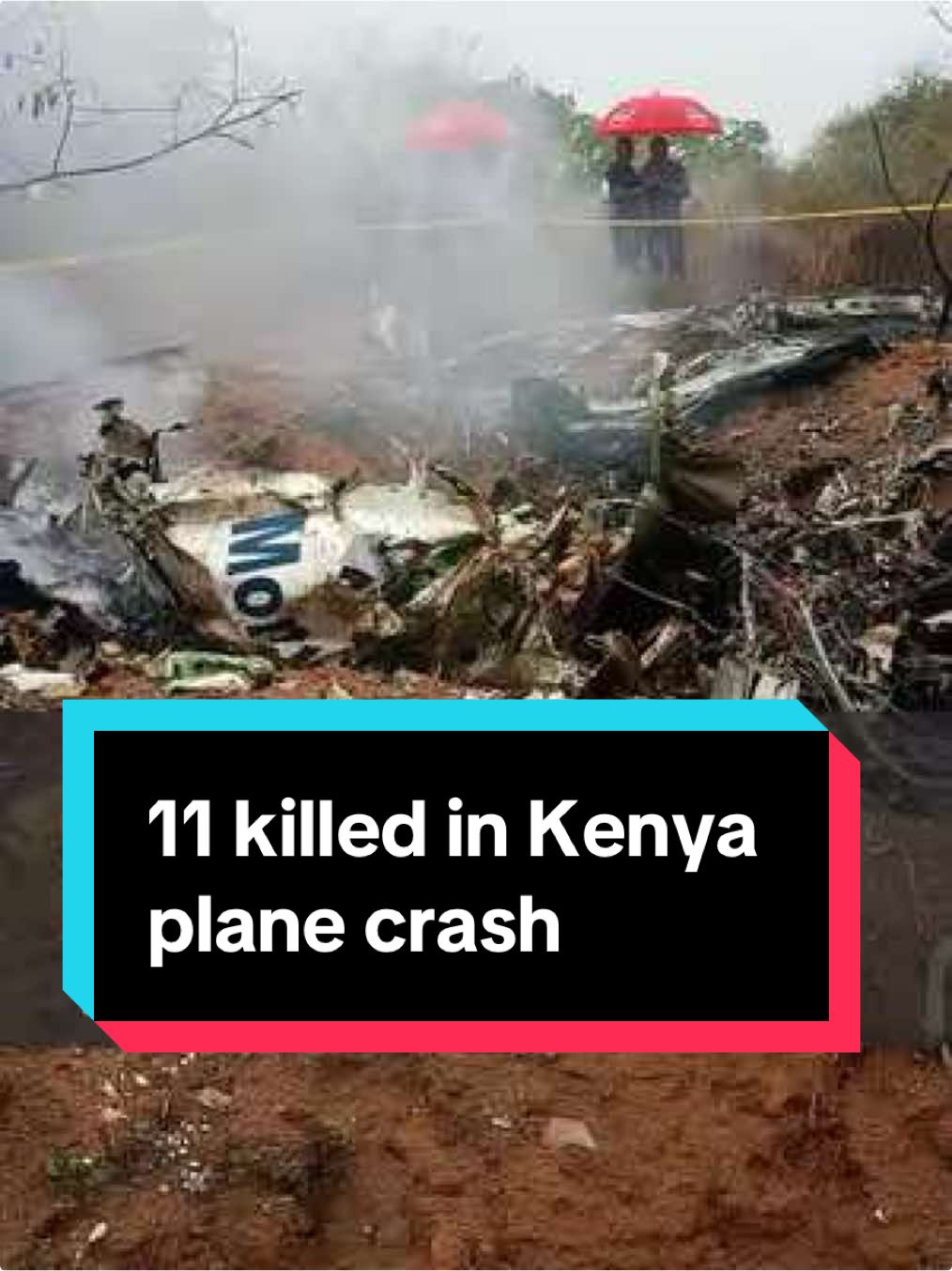 A Kenyan aircraft carrying foreign tourists has crashed on it's way to the famous Maasai Mara game park, killing all 11 people on board. #Kenya #PlaneCrash #Channel4News #MaasaiMara #C4News