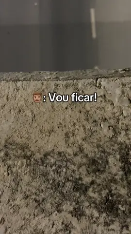 🚗🚗🚗🚗🚗 #carro #astra #carrobaixo 