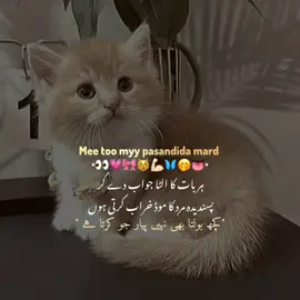 bechara❤️🤭💪🏻 #unfreezemyaccount #unfreezemyaccount #timeproblems⏱ #unfreezemyaccount #fypシ゚ 