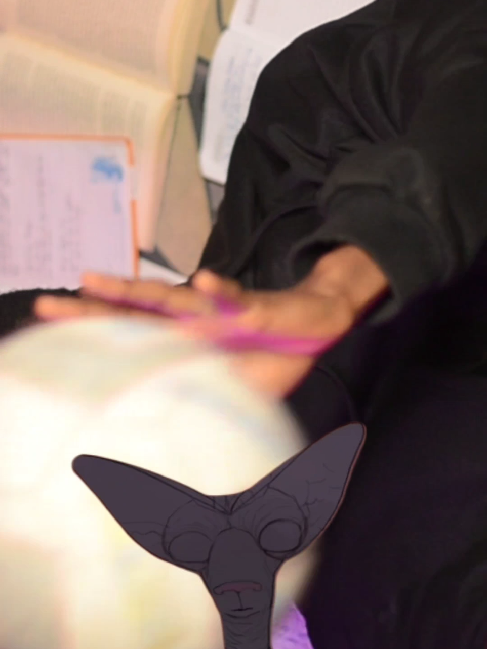 Zealy is the new goldmine you better start digging with $5000 up for grabs for creators, what's stopping you from creating contents? click-earn-repeat. get in on Zealy 💪🏼 #zealy #Meme #MemeCut #CapCut 