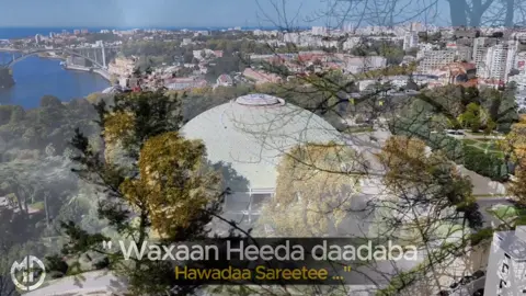 Xasan Aadan smaatar | 