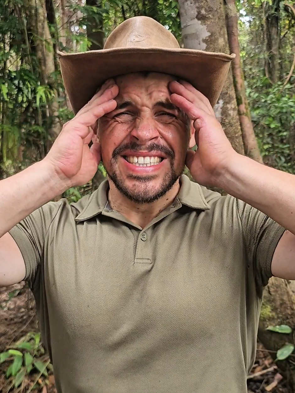 West Papua 😢🌳💔 #deforestation #rainforest #papua #indonesia 