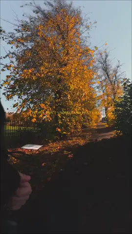 Slow motion is better than no motion! 🏃🏼🏃🏼 #run #runner #Running #strava #kaicenat 