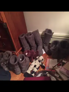 Hey I’m back from the dead, i had to delete tiktok so i can force myself to study for my midterms bc im ADDICTEDDD to this app💔💔 also thank you sosso much for 14k!!!! HELLO?!!? This is insane!!   #autumnmoodboard #moodboard #autumnaesthetic  #fallaesthetic #fall autumn autumnaesthetics moodbaords aesthetic aesthetics fall aestheticallypleasing vibe vibes autumn2000s 2000s autumn october nobember september rorygilmore gilmoregirls prettylittleliars twilight girlblog girlblogger girlblogging lilyrose lilyrosedepp fall autumn aesthetic fallvibes autumnvibes 