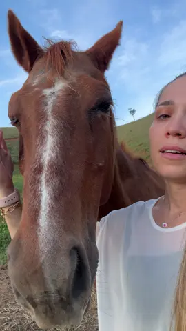 Como eu queria que Deus fizesse vocês duas eternas! 🤍 minhas rainhas ❤️ #vaiprofycaramba #fyp #sitio #cavalos #naoflopaporfavor 