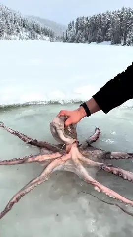 #asmr #outdoorcooking #tiktokfood #outdoor #food 