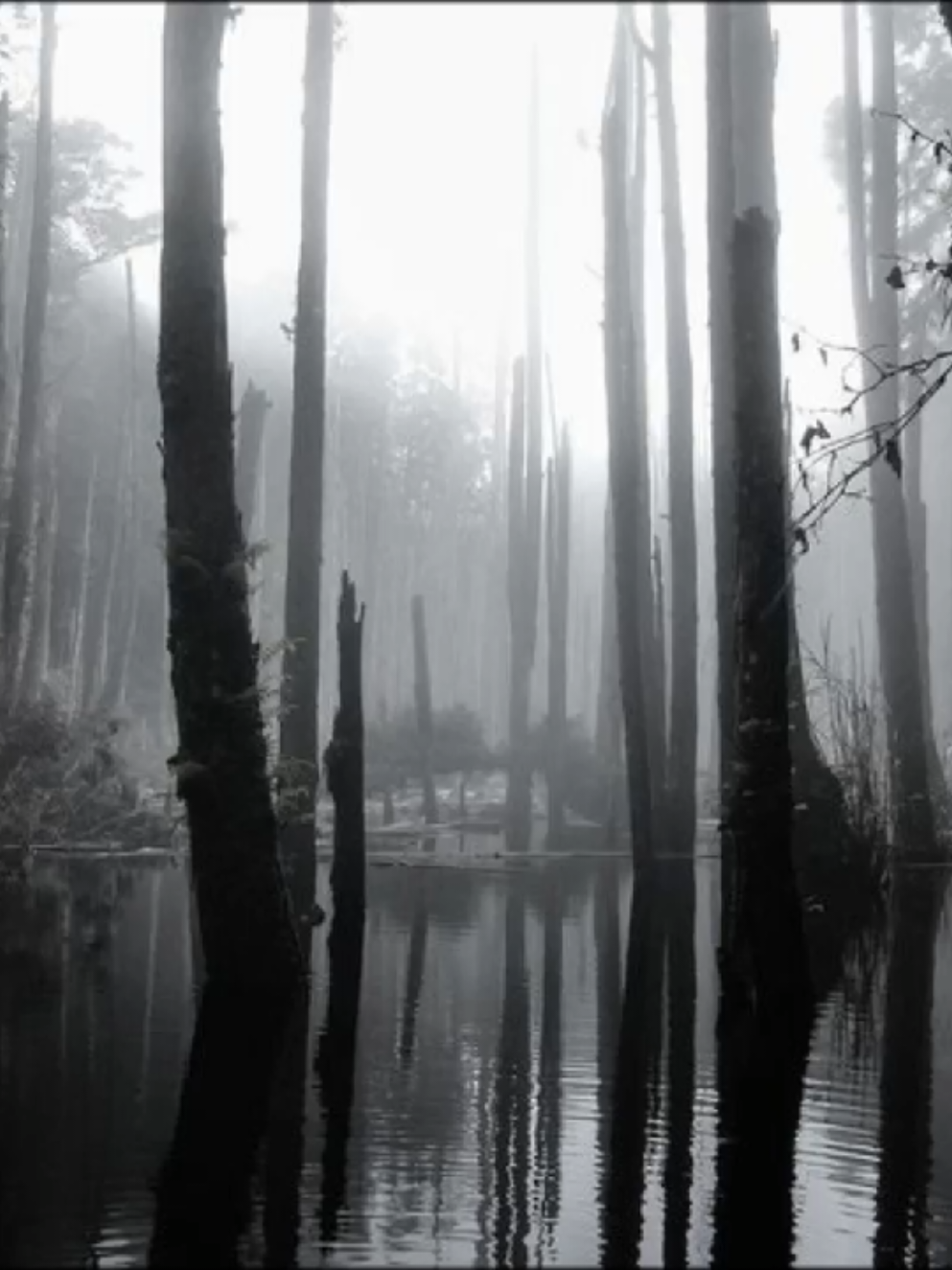 на последнюю строку бюджета не хватило:( ссори... #привет #charlotte #hi #charles #sound 