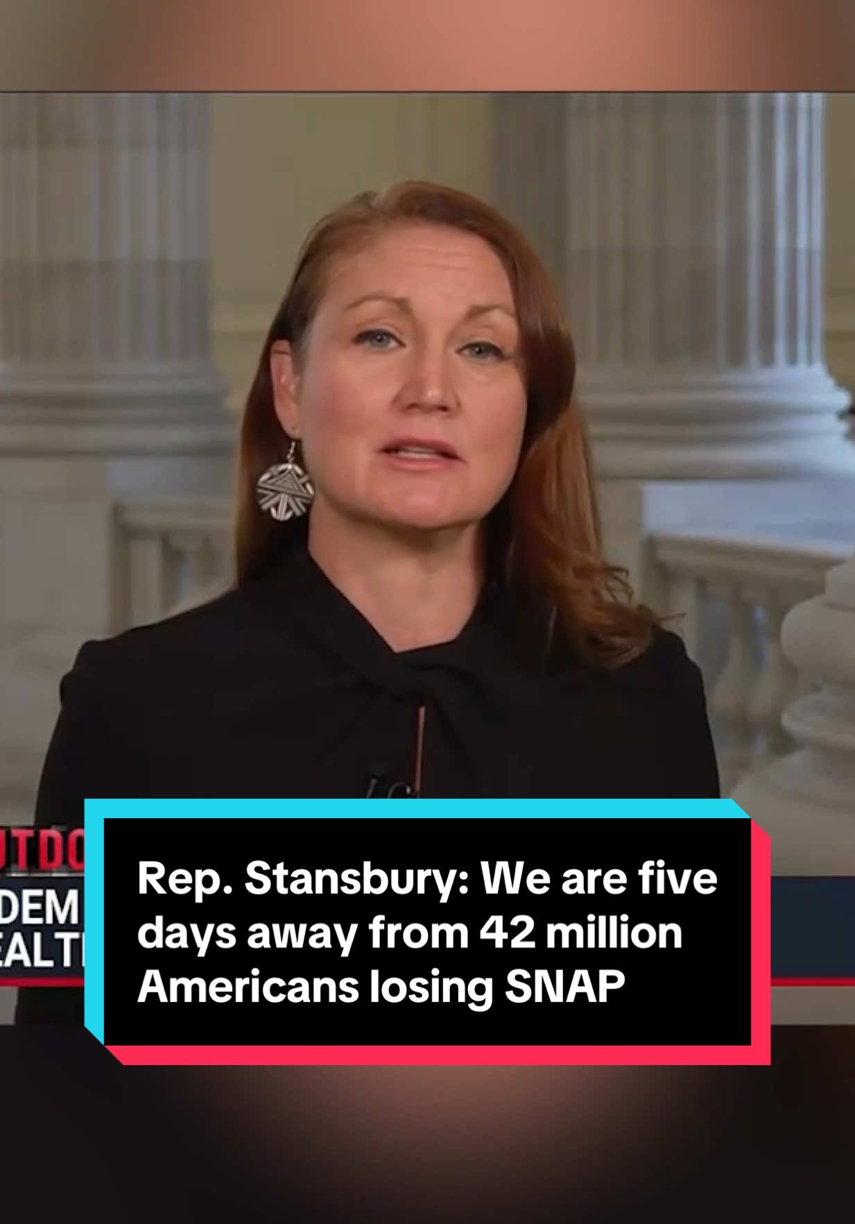 Cutting off food for children, elders, and veterans is wrong. Period. That’s why we’re here fighting back. ⬆️ #melaniestansbury #repstansbury #snap #foodbank #governmentshutdown 