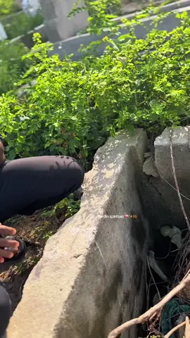 Qu’Allah nous accorde une fin heureuse et face miséricorde à nos défunts🤲🏾